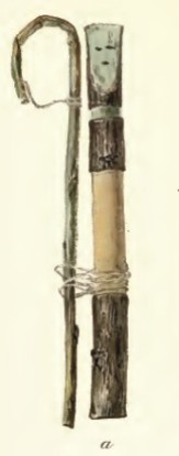 hachamoni-sia-stevenson 1894 pl XIa